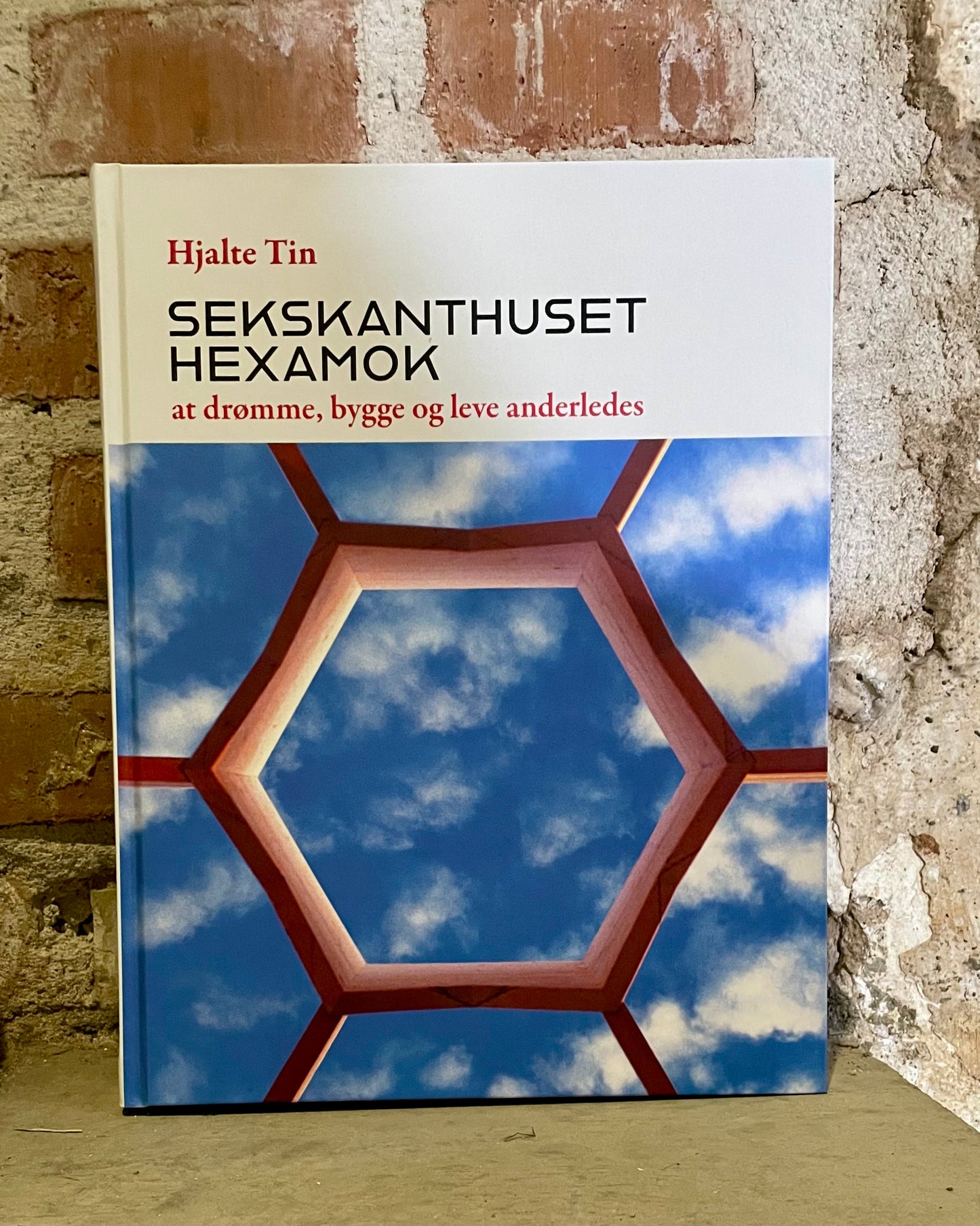 Sekskanthuset Hexamok - at drømme, bygge og leve anderledes
