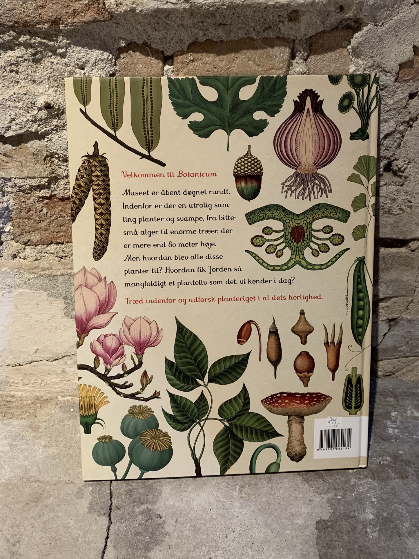 Botanicum