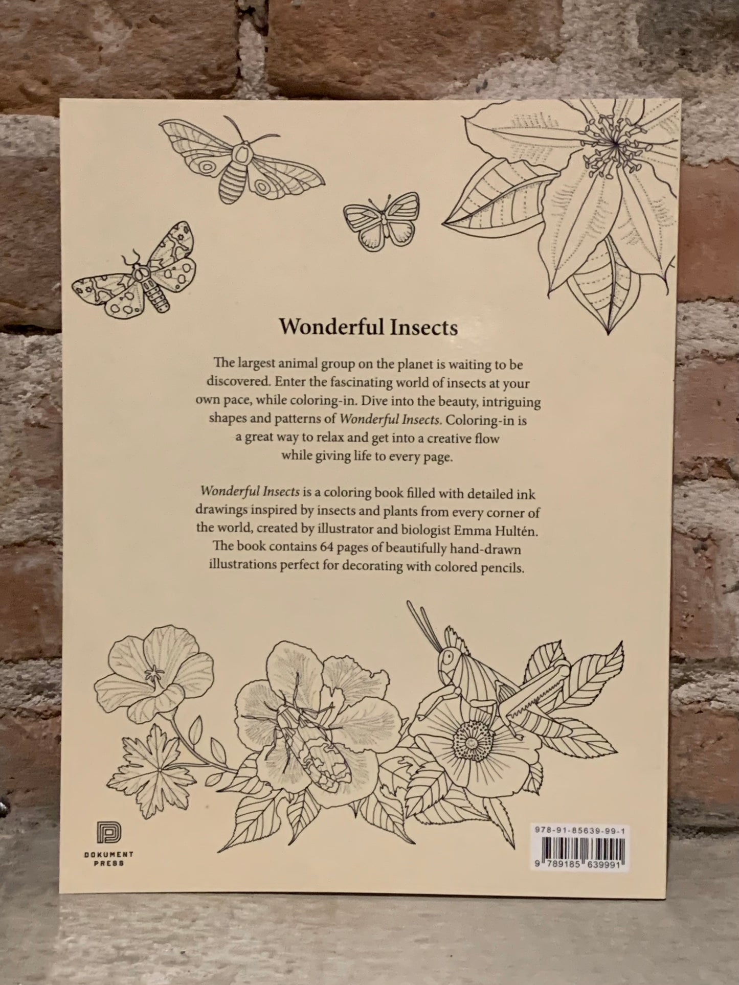 Wonderful Insects - coloring book