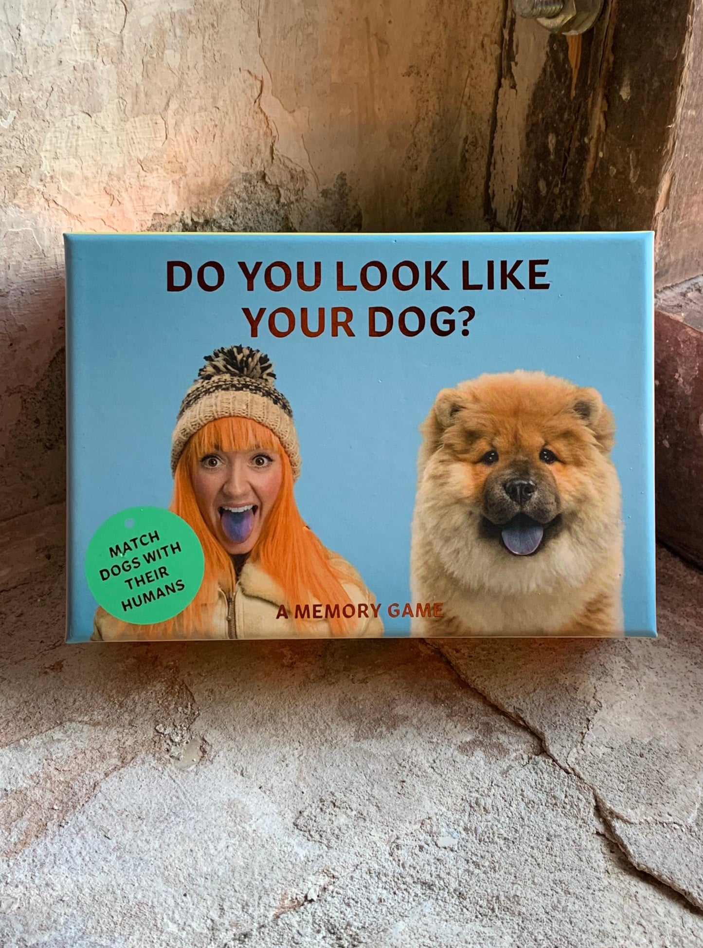 Memory - Do You Look Like Your Dog?