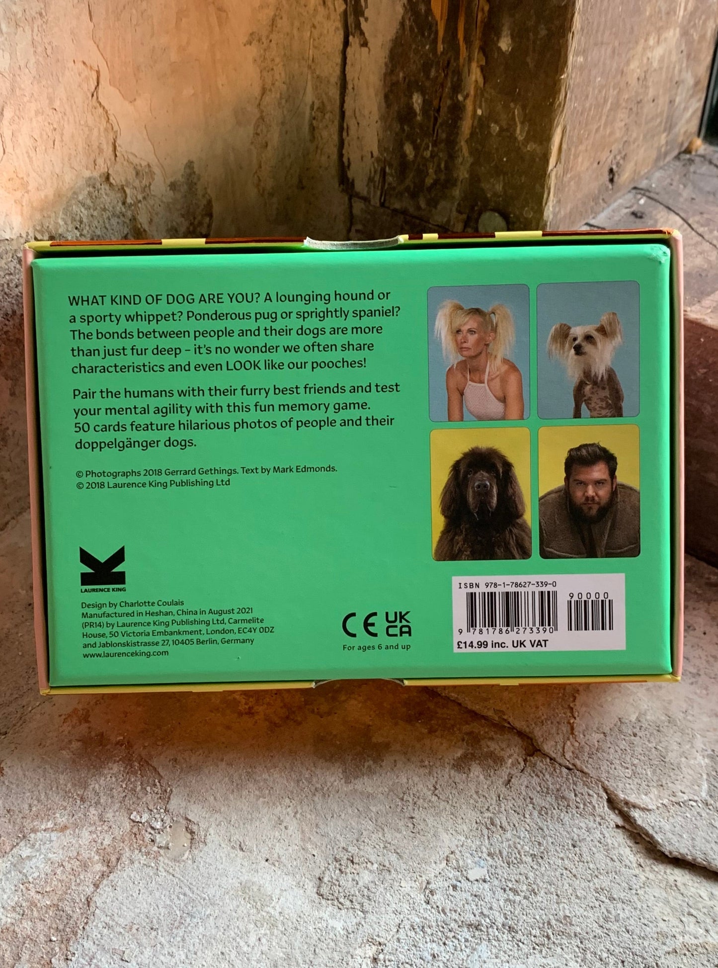 Memory - Do You Look Like Your Dog?