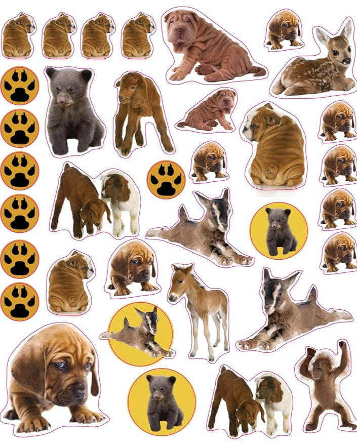 Genanvendelige stickers - dyreunger