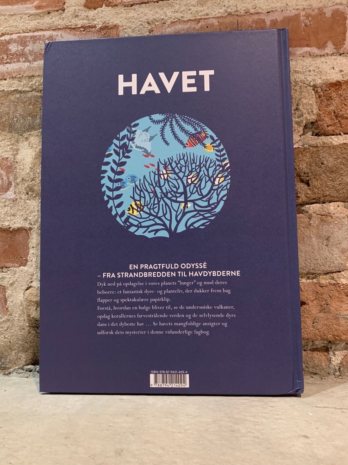 HAVET - En udforskning af livet under vand