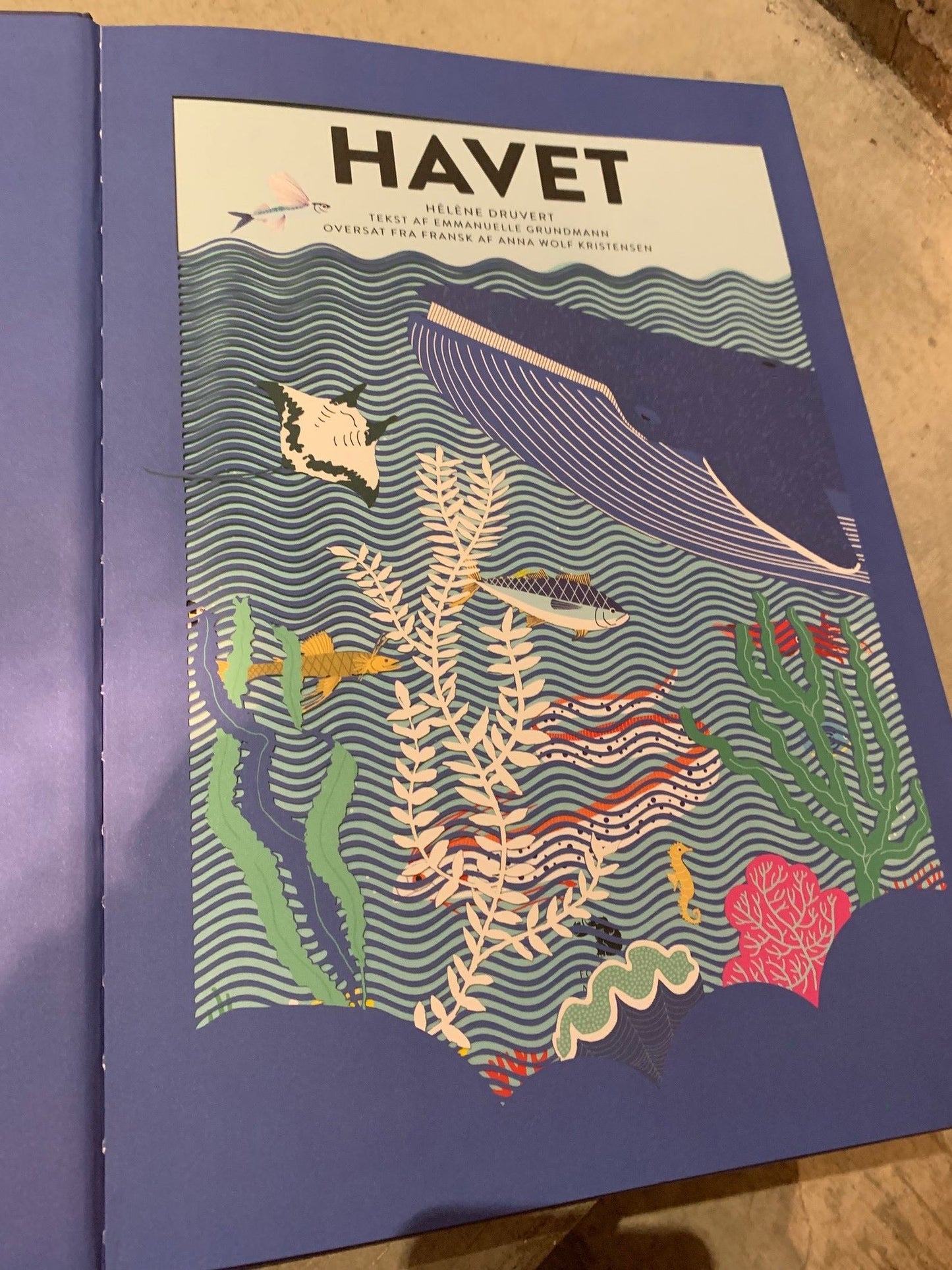 HAVET - En udforskning af livet under vand