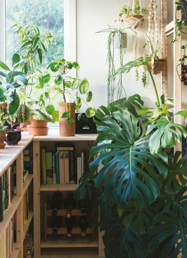 Gro - grønne planter indendørs