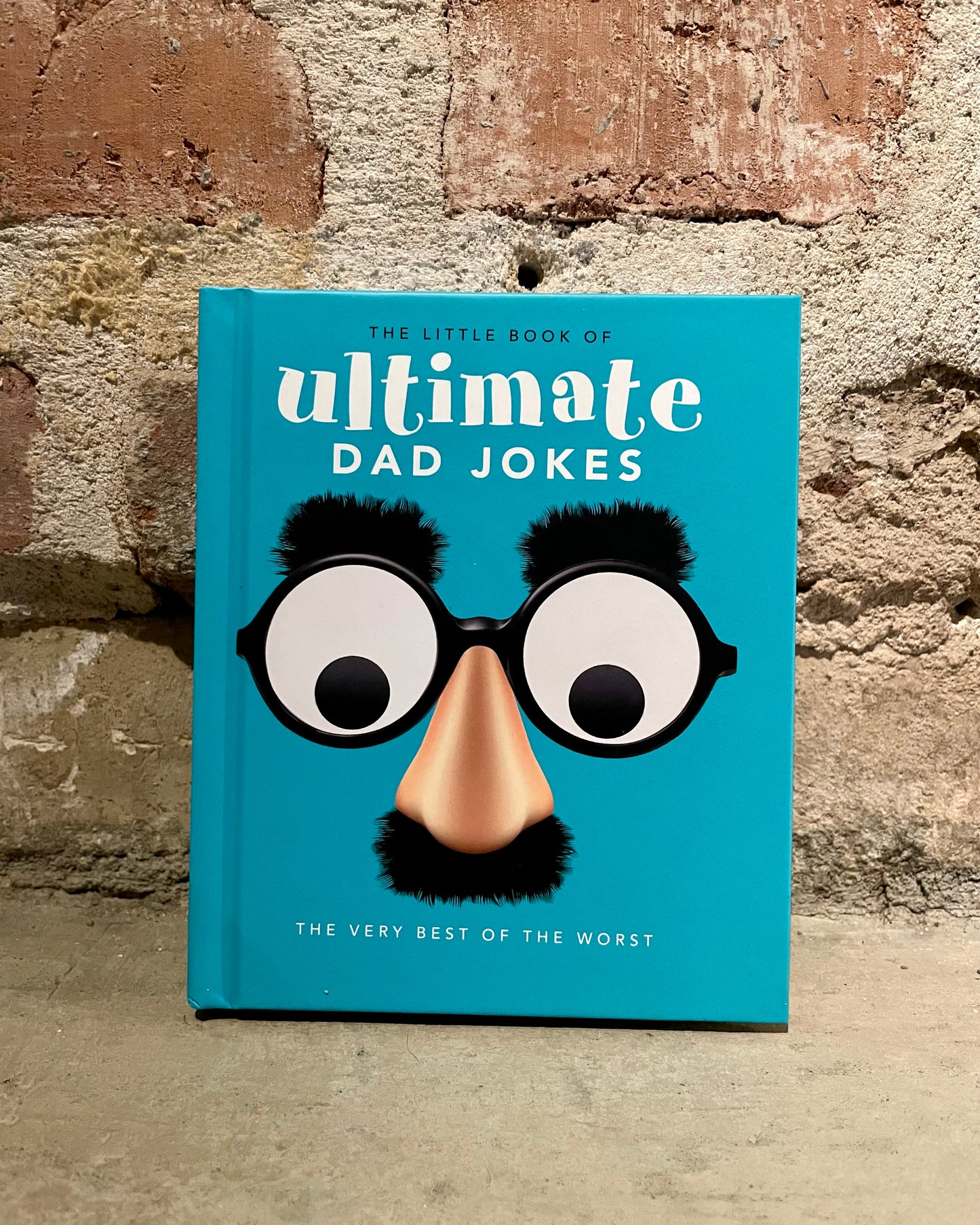 The Little Book of Ultimate Dad Jokes - the very best of the worst
