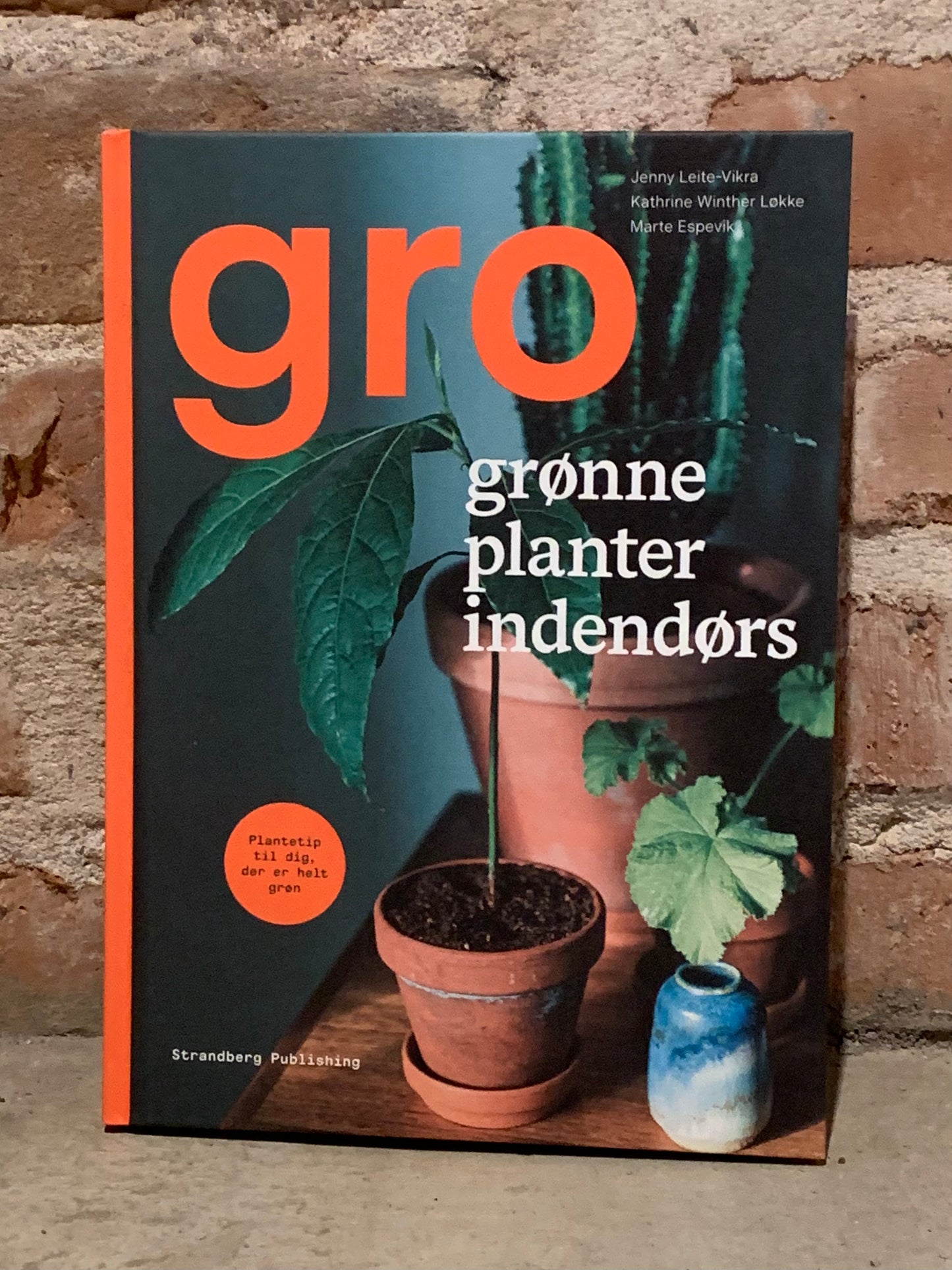 Gro - grønne planter indendørs