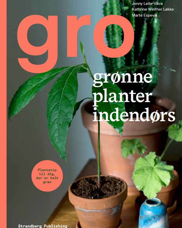 Gro - grønne planter indendørs