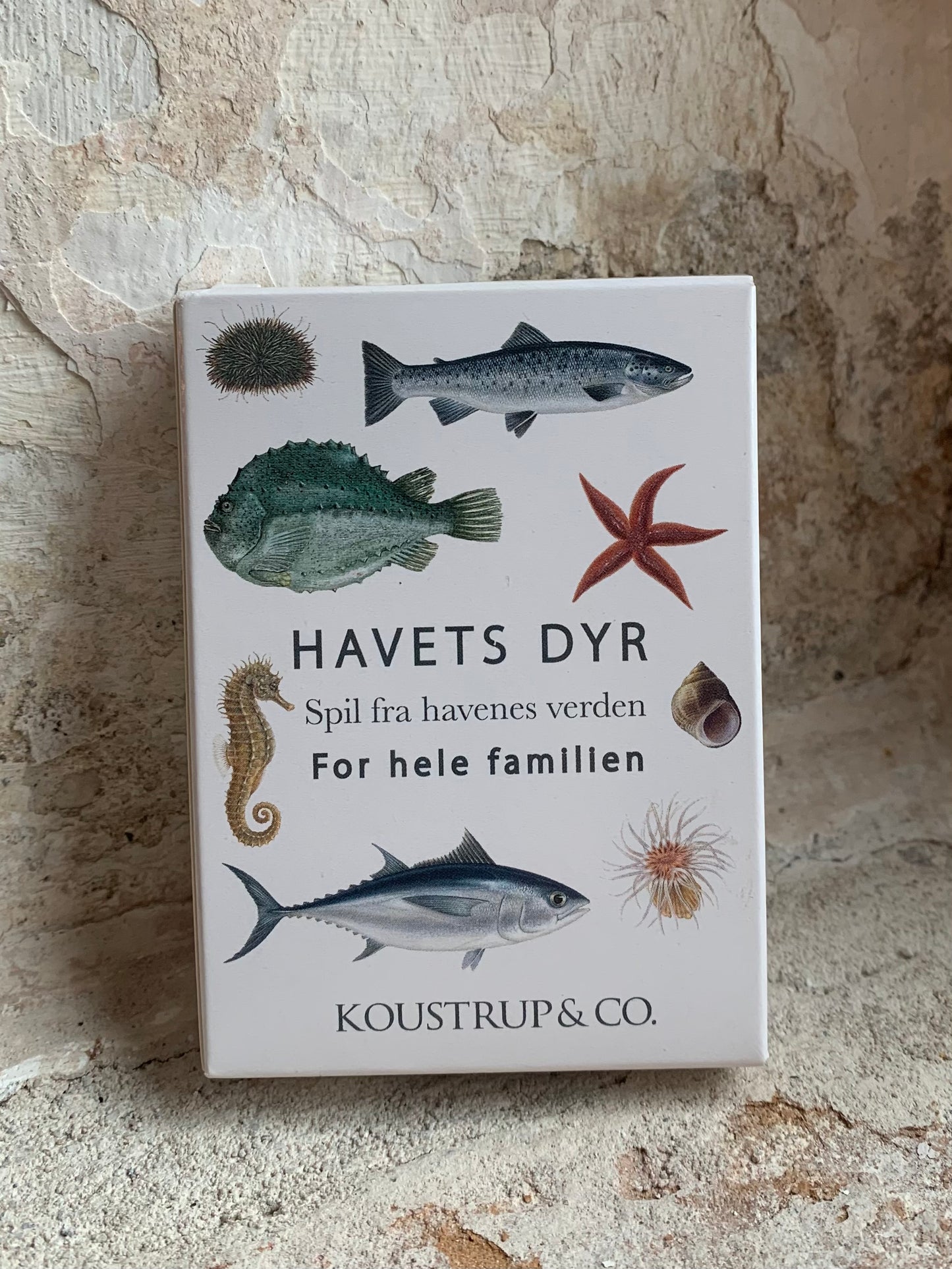 Havets dyr - kortspil