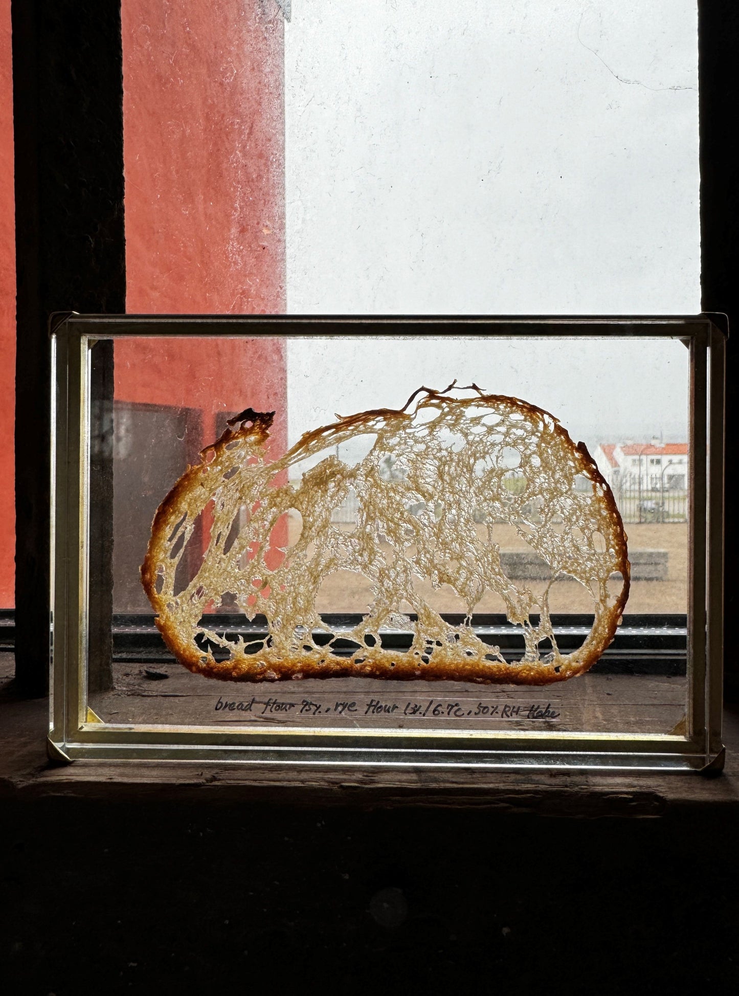 Bread Object - SLICED CAMPAGNE