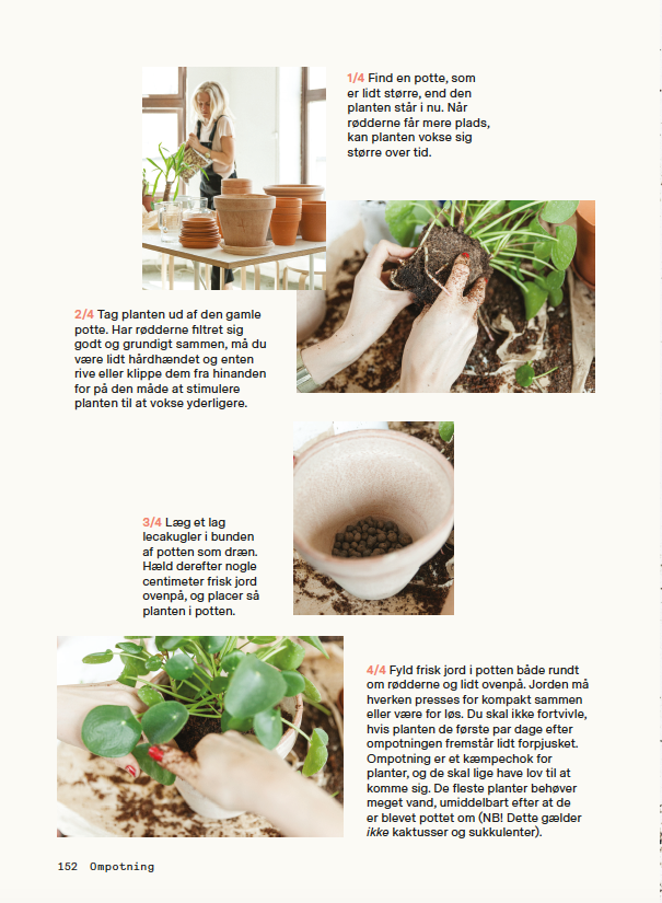 Gro - grønne planter indendørs