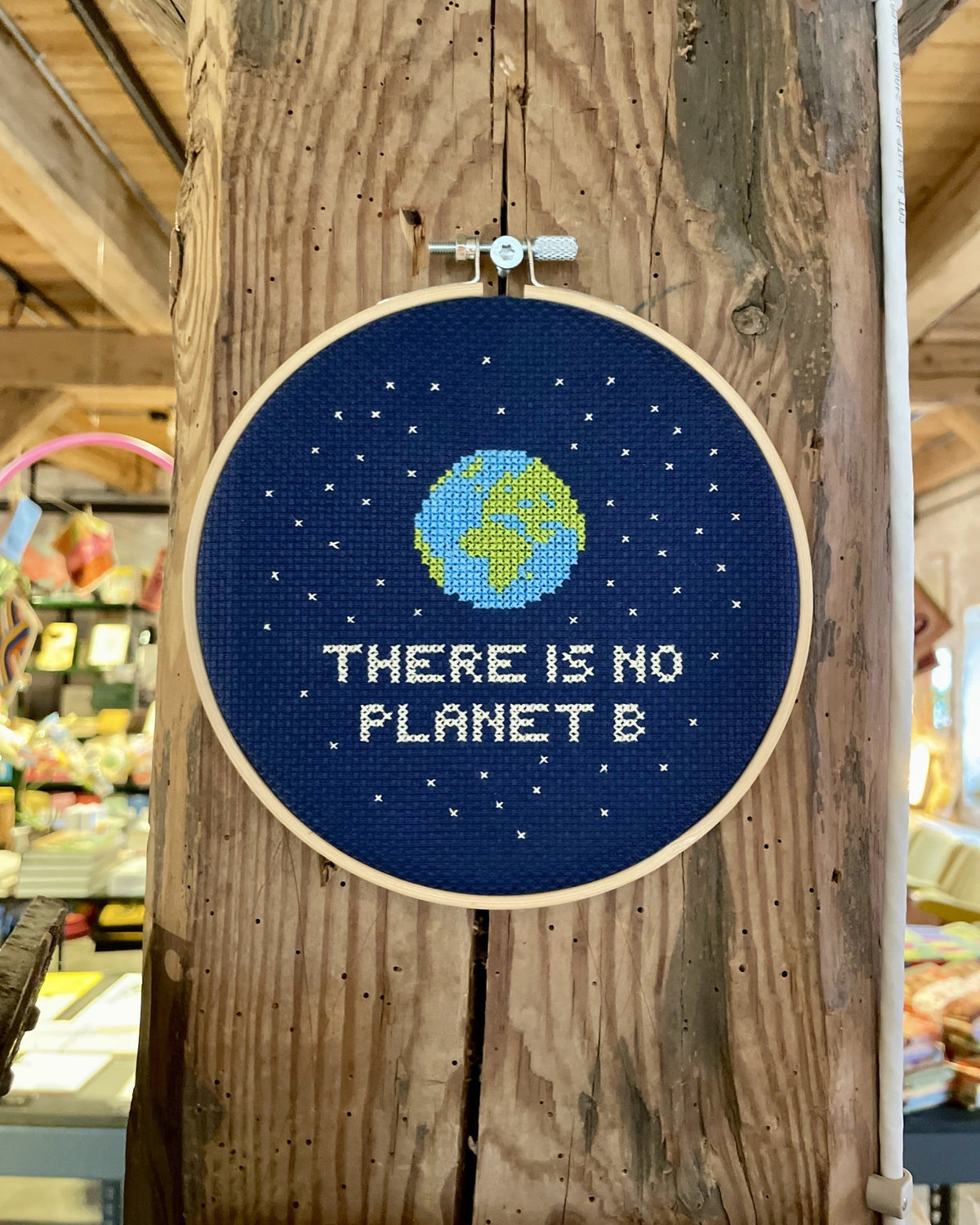 There is no planet B -  Broderikit