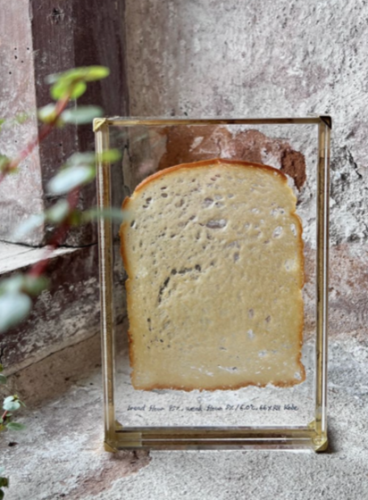 Bread Object - SLICED TOAST